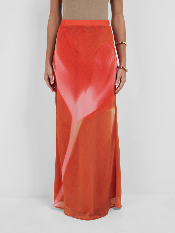 Size8 SHEIKE Arabella Bloom Skirt Floral 1008260 Detail Image