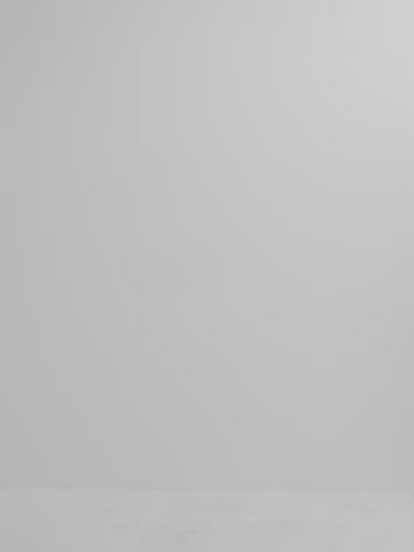 Video SHEIKE Olivia Top Sage 1008286 Video