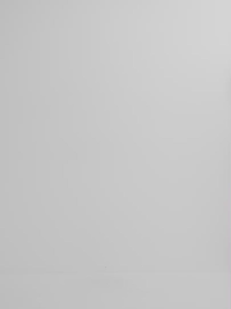 Video SHEIKE Agni Top Geo 1008204 Video 