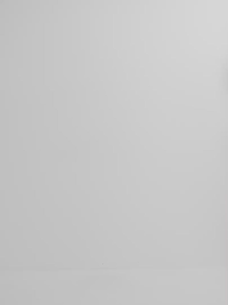 Video SHEIKE Soraya Pleated Mini Dress Ivory 1008335 Video