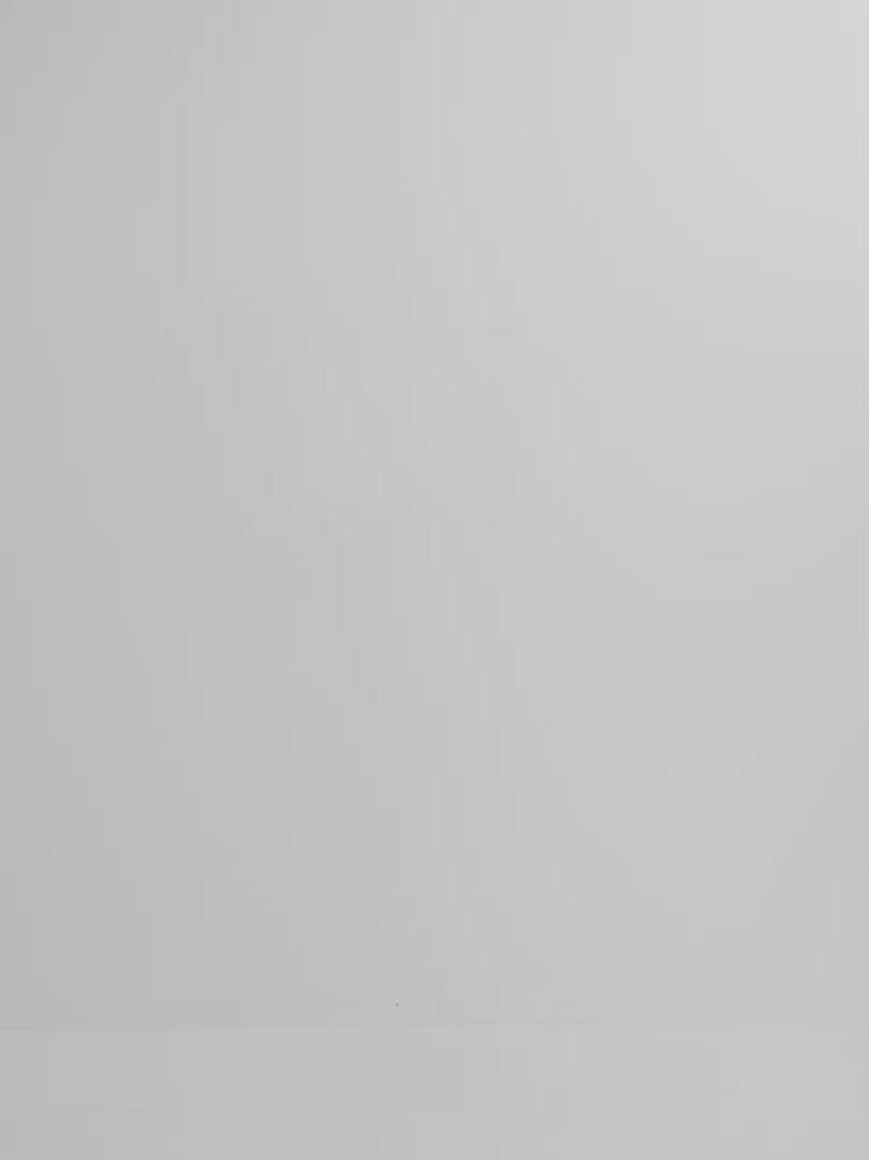 Video SHEIKE Palom a Embroidered Shirt Brown 1008228 Video