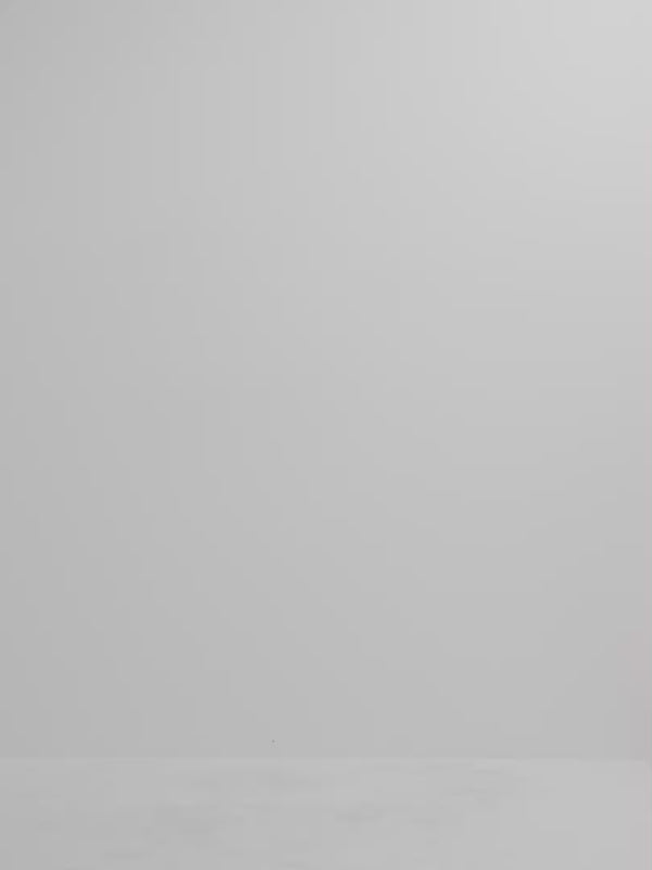 Video SHEIKE Harper Shirt White 1008167 Video