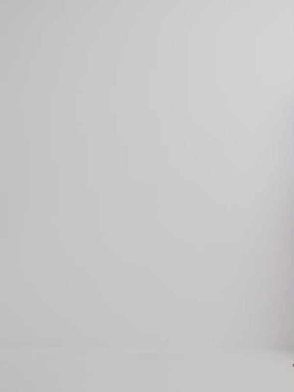 Video SHEIKE Palma Shirt Print 1008323 Video