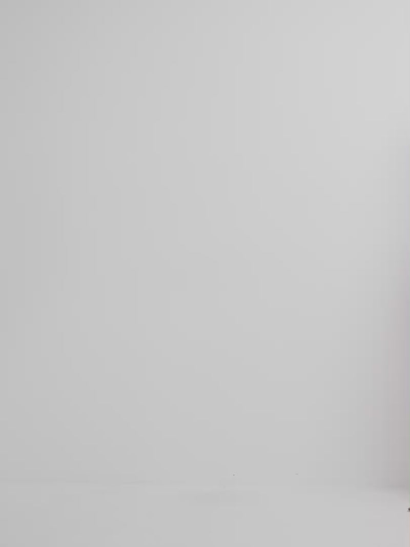 Video SHEIKE Palma Shirt Print 1008323 Video