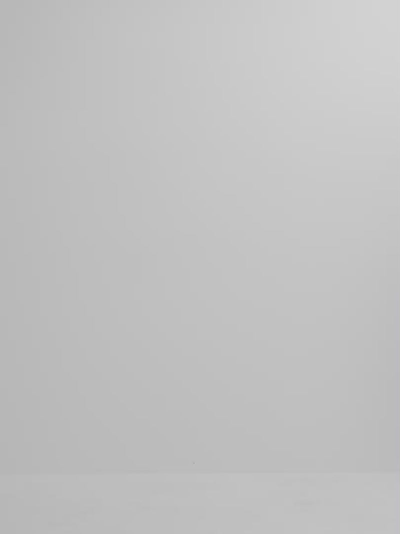 Video SHEIKE Zimi Midi Dress 1008161 Video