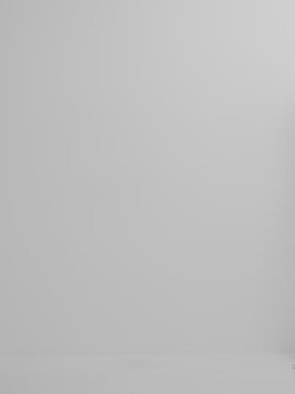 Video SHEIKE Delphy Shirt Blue 1008519 Video